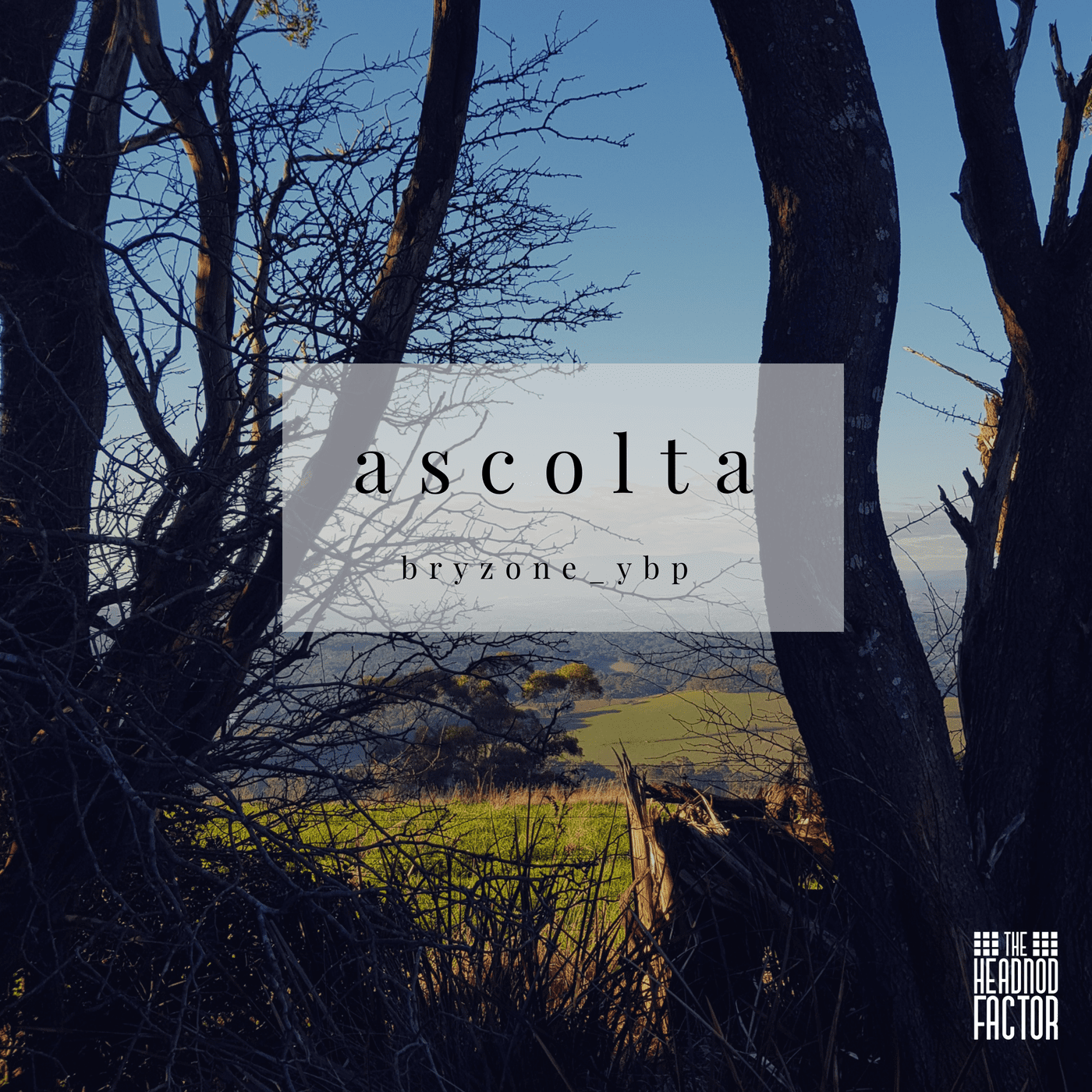 bryzone_ybp-ascolta-cover